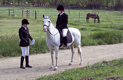 Dressage Lessons