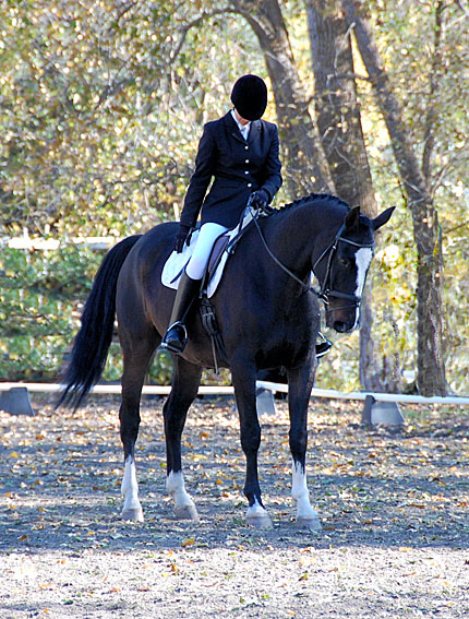 horse trainers