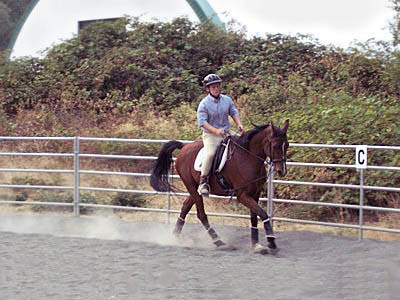 horse trainers