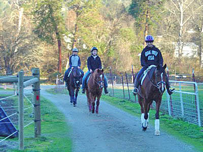 horse trainers