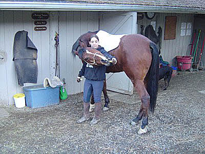horse trainers