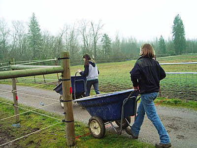 horse trainers