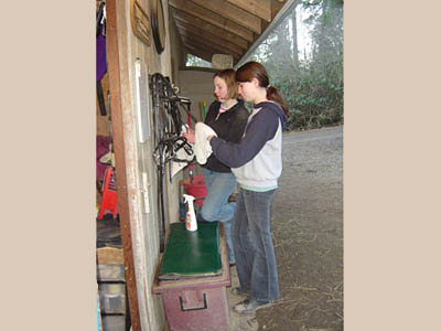 horse trainers