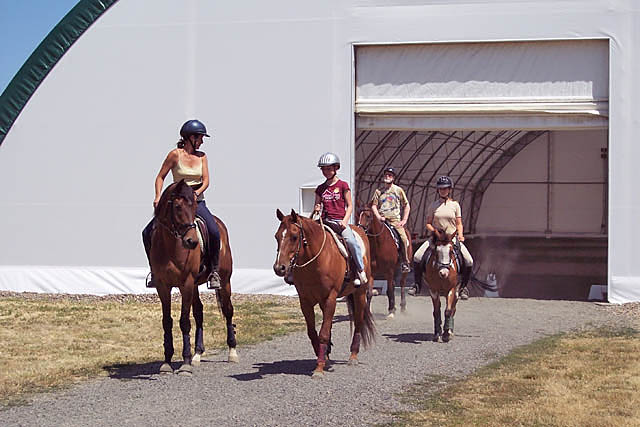horse trainers