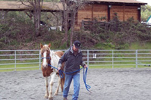 horse trainers