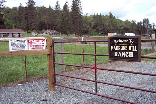horse trainers