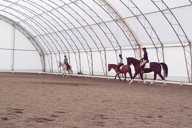 horse trainers