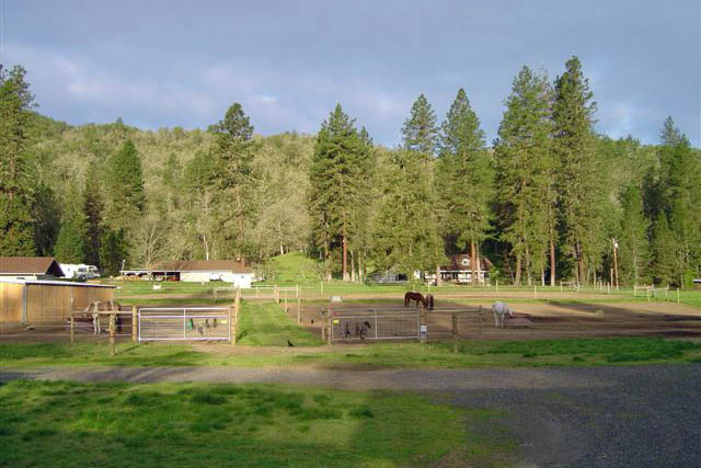 horse trainers